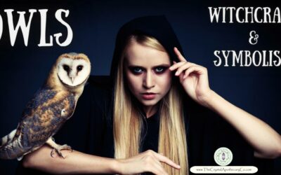 Great Horned Owl, Symbolism, & Witchcraft!