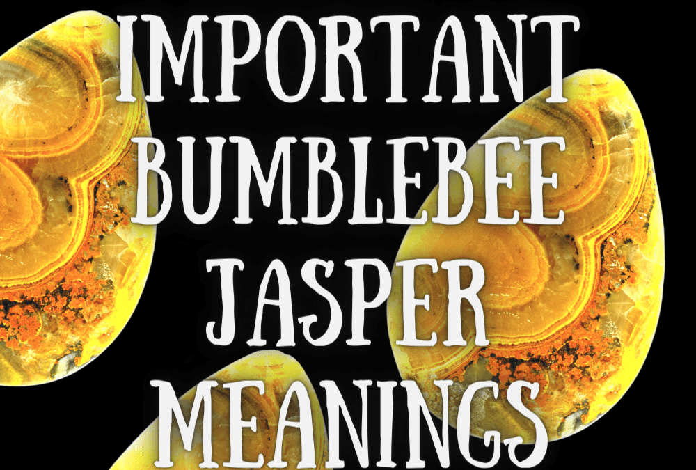 3 Most Important Bumblebee Jasper Meanings