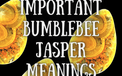 3 Most Important Bumblebee Jasper Meanings