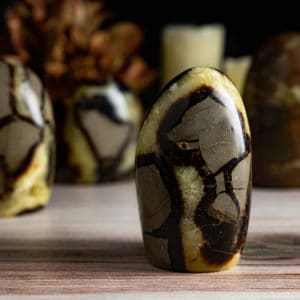 SEPTARIAN CRYSTAL FREE FORMS