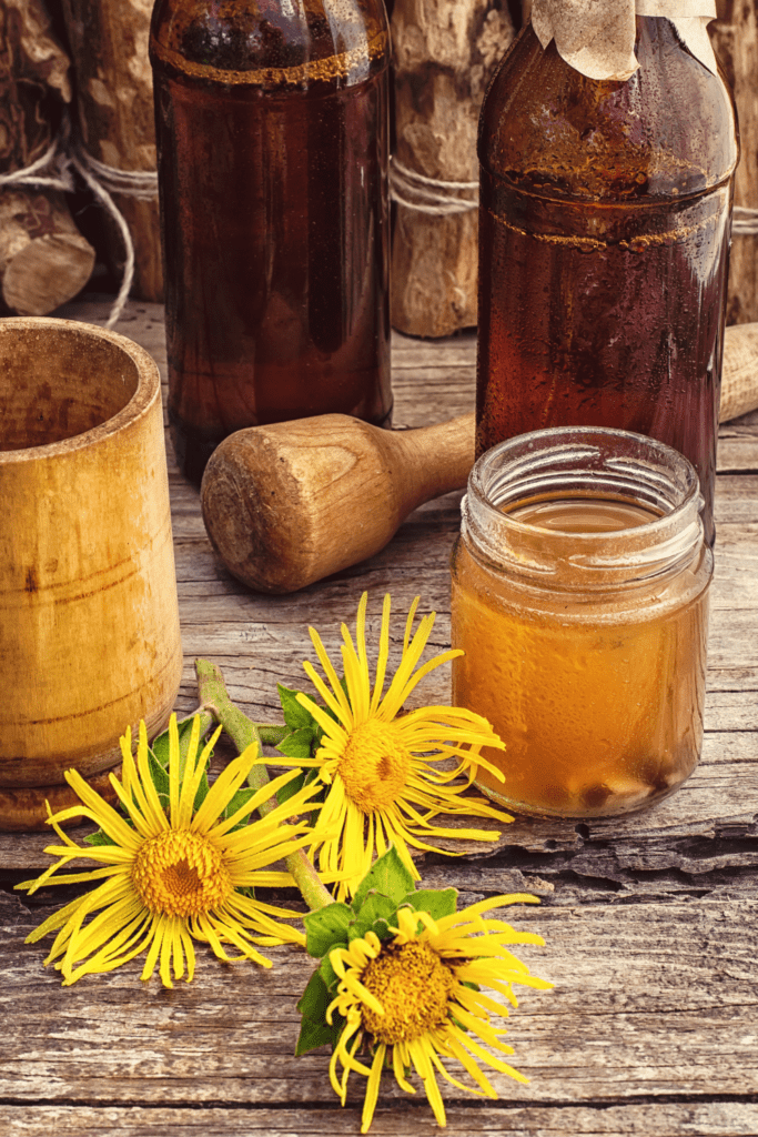Dandelion Root Tincture for Bloating!